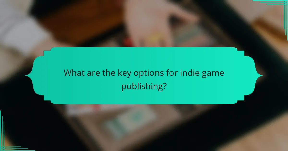 What are the key options for indie game publishing?